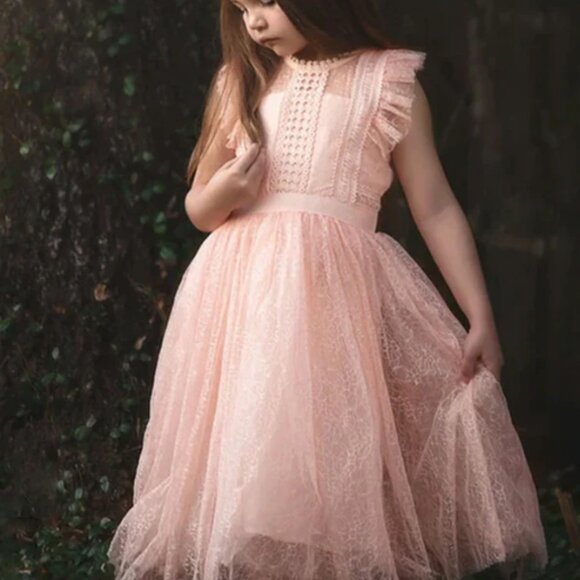 NWT - Trish Scully Clarissa Dress in Peachy Pink - Size 8 - Perfect for Princess - Picture 4 of 7